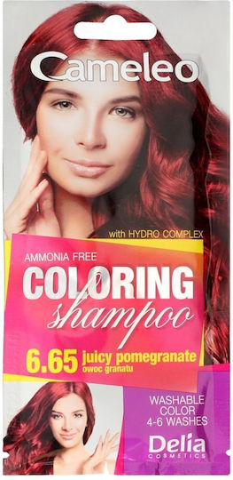Delia Cosmetics Cameleo Hair Dye No Ammonia 6.65 Juicy Pomegranate