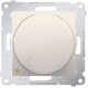 Rotary Switch Lighting without Frame Silver