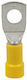 Ergom Cable Terminal 404-003025120