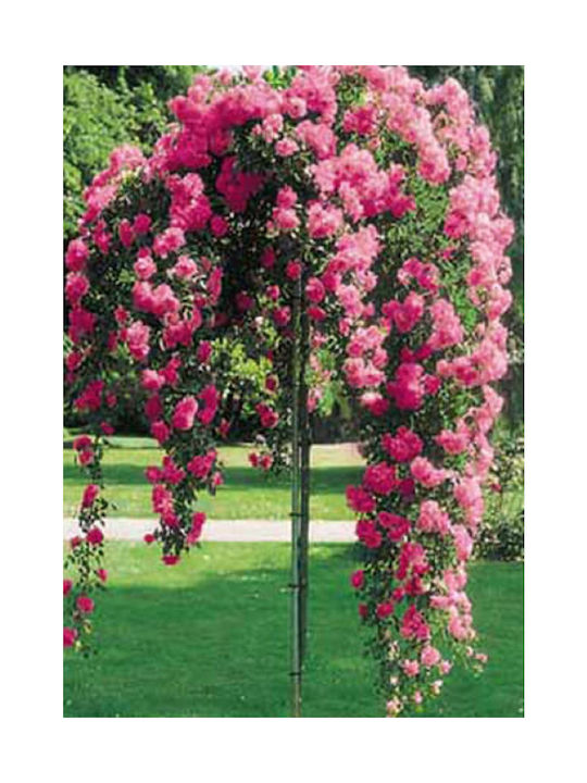 Artificial Hanging Rose 2.50m