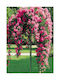 Artificial Hanging Rose 2.50m