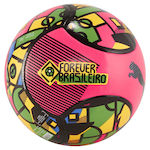 Puma Kids Ball Football