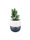 Viosarp Ribbon Oval 4l Plastic Planter