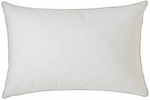 Toison D'or Sleep Pillow Cotton 50x70cm