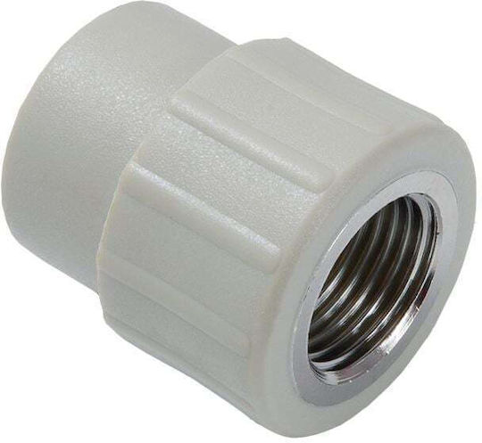 Detail-met Connector PP GW 25mm x 1/2" Male