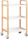 Beauty Roll Hair Salon Maintenance Cart