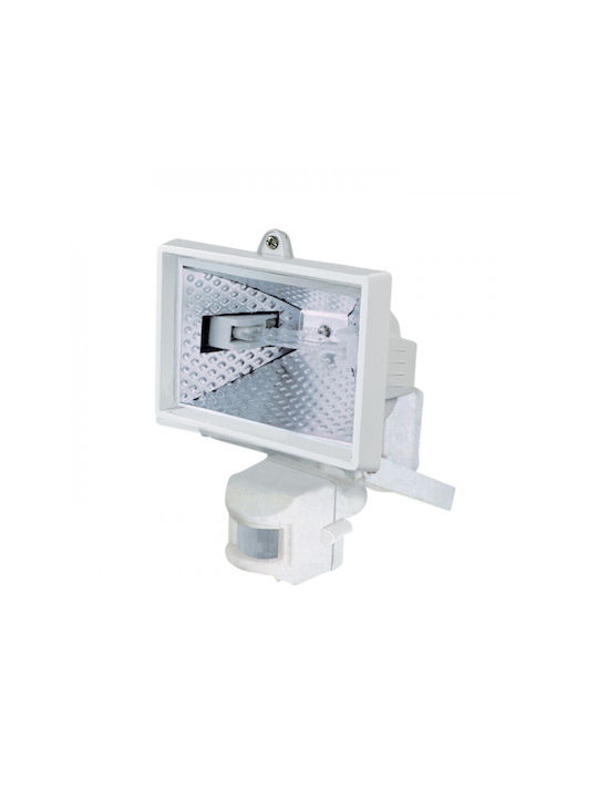 DIL Wall-Mounted Outdoor Floodlight R7S