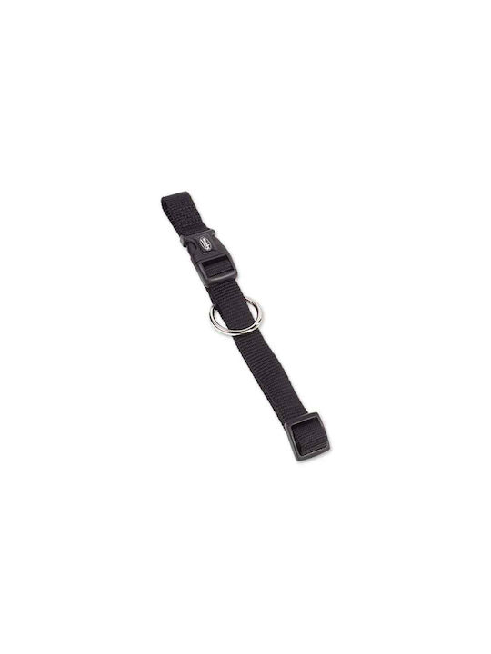 Nobby Dog Collar 20mm (Various Colors)