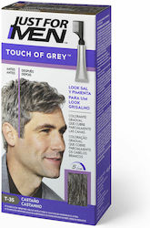 Just For Men Touch Of Gray Κάφε Just For Men Touch Of Gray Κάφε