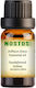 Nostos Pure Αιθέριο Έλαιο Σανδαλόξυλο 5ml