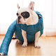 Animal Tragbarer Hundetrockner Blau mit Dachfirst 115cm