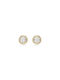 Swarovski Earrings Gold Plated with Diamond