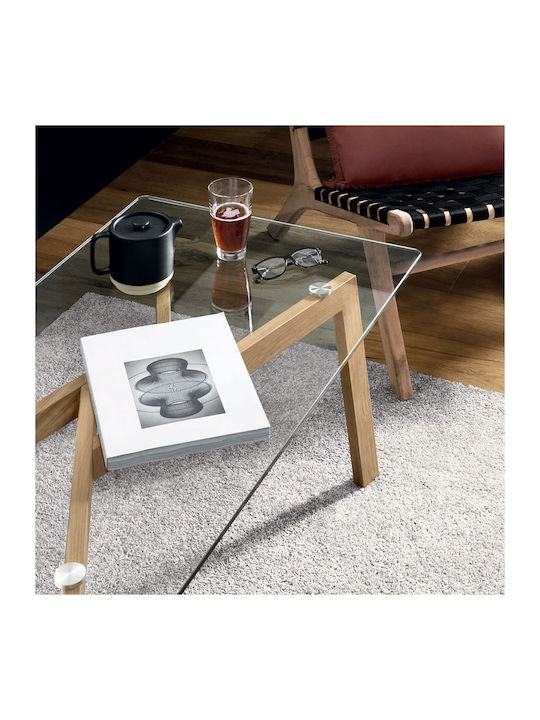 Rechteckig Couchtisch Transparent L110xB60xH47cm