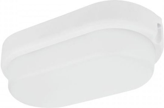 Spot Light Ceiling Lamp LED 7W 4000K Spot Light Ceiling Lamp LED 7W 4000K