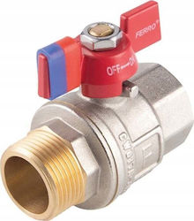 Ferro Valve / Switch 1" Male/Female