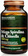 Doctor Life Spirulina 500mg 200 tabs Mega Spirulina & Chlorella