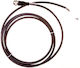 Lapp Cable Connection Cable 2m Straight Socket 4p Fieldbus M12 S A Ab-c4 2 0pur-m12fs-sh 22260456