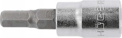 Högert Technik Bit Socket cu Vârf Allen și Prindere în 1/4'' 1buc Högert Technik Bit Socket cu Vârf Allen și Prindere în 1/4'' 1buc