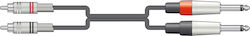 Citronic Cable 2 x 6.3mm male - 2x RCA male 6m (19950)