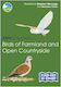 Rspb Id Spotlight