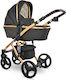 Lorelli Rimini Premium Verstellbar 2 in 1 Baby ...