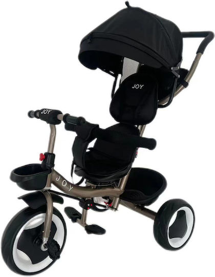 Joy Convertible with Parental Handle for 1.5+ Years Black