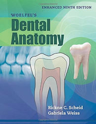 Woelfel's Dental Anatomy, Enhanced