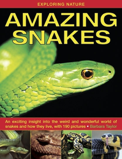 Exploring Nature: Amazing Snakes Exploring Nature: Amazing Snakes