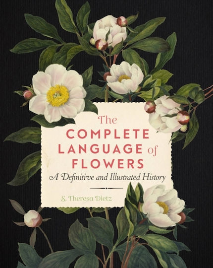 Complete Language Of Flowers Complete Language Of Flowers
