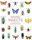 Interesting Insects