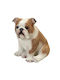 Bulldog Dog Figure Polyresin 20x14.5x19.5cm