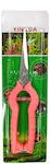 Pruning Shears