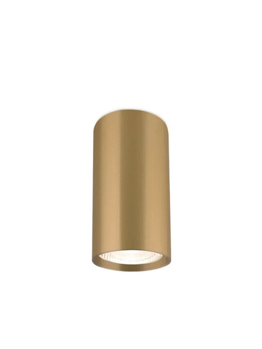 Braytron Single Spot with Socket GU10 in Gold Color