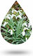 Anaplasis Aromatisches Öl Nachtkerze 100ml 1Stück ana-000068-127