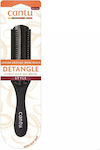 Cantu Brush Hair for Detangling