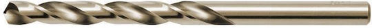 Högert Technik Drill with SDS Plus Shank for Masonry, Glass, Tiles and Metal 10x160mm