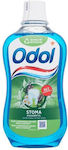 Odol Mouthwash 500ml