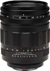 Voigtlander Super Nokton Micro 4/3 29mm F/0.8 Cadru complet pentru montură Micro Patru Treimi (MFT) Voigtlander Super Nokton Micro 4/3 29mm F/0.8 Cadru complet pentru montură Micro Patru Treimi (MFT)
