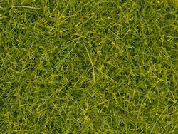 Verstreutes Gras Noch 08363 Hellgrün