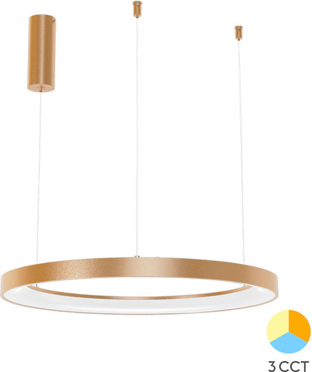 Braytron Deckenleuchte Gold LED