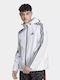 adidas Jacket White