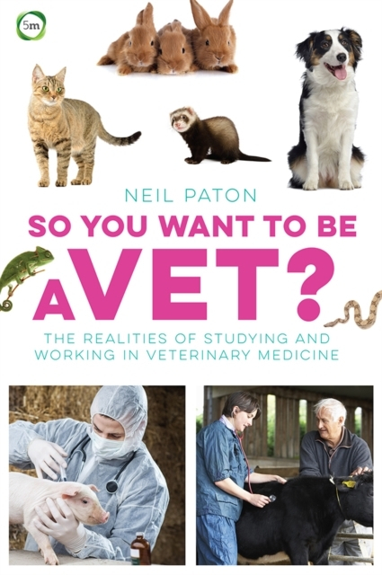 So You Want To Be A Vet The Realities Of Studying And