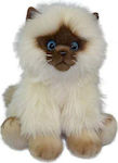 Anek Fluffy Fam Kot Siamese 30cm