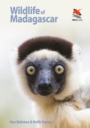 Wildlife Of Madagascar