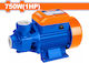 Wadfow Electric Surface Water Pump 1hp