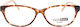 Carlo Rossi Women's Acetate Brown Tortoise Prescription Eyeglass Frame PL.17260-C6