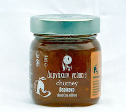 Δαρνάκων Γεύσεις Καυτερή Chutney 230gr