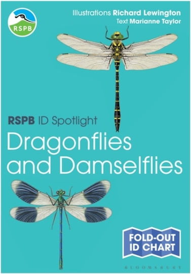 Rspb Id Spotlight - Dragonflies And Damselflies - Rspb Id Spotlight - Dragonflies And Damselflies -
