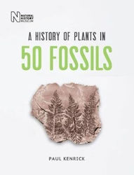 History Of Plants In 50 Fossils