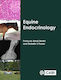 Equine Endocrinology